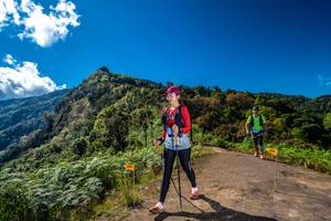 BIB: 
                            <button type="button" onclick="openModal(19037663)" class="btn btn-primary btn-sm float-right btn-popup" data-toggle="modal" data-target=".modal-high-quality">
                        <i class="fas fa-shopping-cart"></i> Add to Cart
                    </button>
                                            <button type="button" onclick="isThisMe(19037663, true)" class="btn btn-success btn-sm float-right btn-popup btn-isme hidden" data-toggle="tooltip" data-placement="bottom" title="นี่คือรูปของคุณใช่ไหม คลิกที่นี่เพื่อเอาเข้าอัลบั้ม">
                        <i class="fas fa-plus"></i> Add to album
                    </button>
                    <button type="button" onclick="isThisMe(19037663, false)" class="btn btn-warning btn-sm float-right btn-popup btn-isnotme hidden">
                        <i class="fas fa-ban"></i> Remove from album
                    </button>